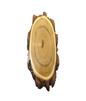 Panneau trophée Acacia 50x25 cm