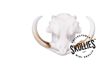 Animal Decor Miniatur Skullies kaufen Schweiz
